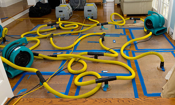 Professional Water Extraction technician working in Turtletown, TN